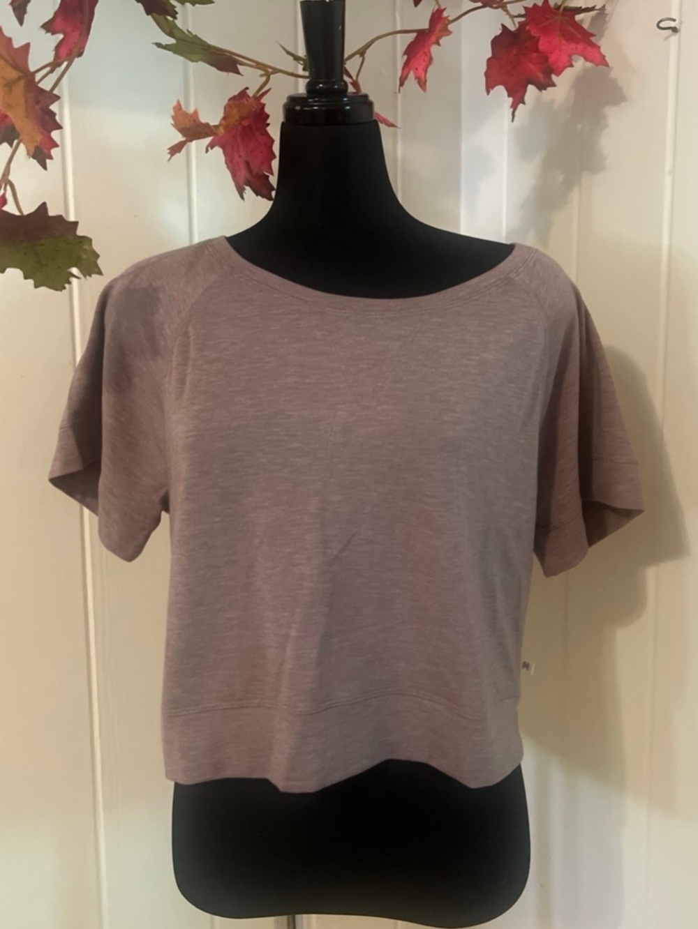 ❤️💕Victoria's Secret Mauve Short-Sleeve Crop Top S/P